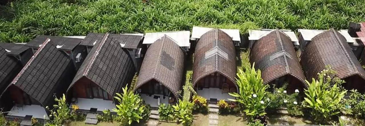 Morning Bali Bungalow Чангу Экстерьер фото