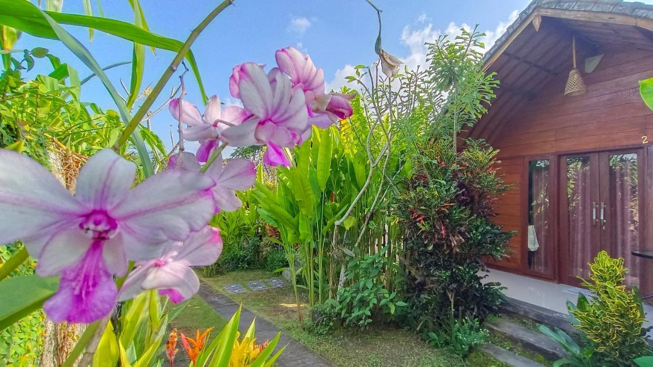 Morning Bali Bungalow Чангу Экстерьер фото