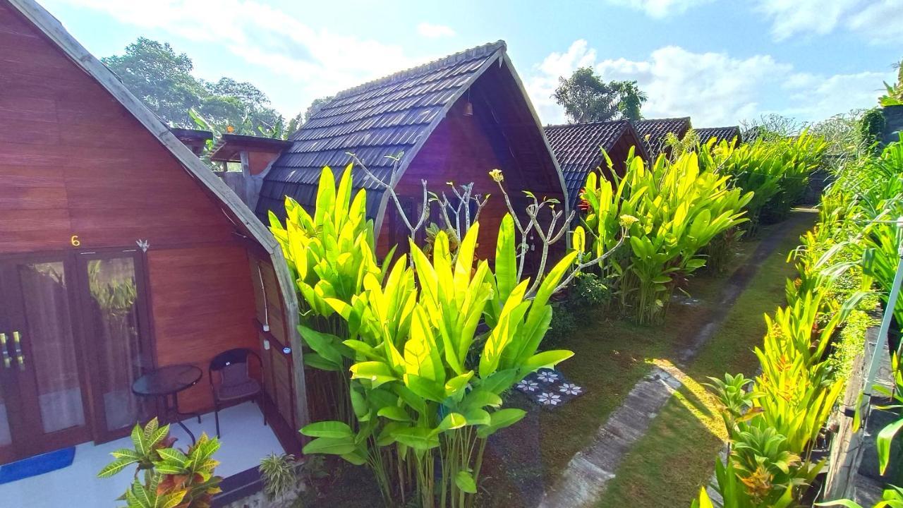 Morning Bali Bungalow Чангу Экстерьер фото