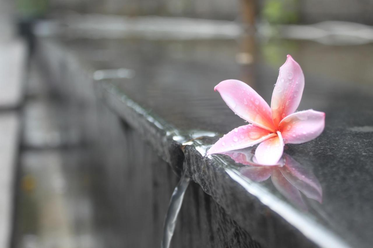 Morning Bali Bungalow Чангу Экстерьер фото